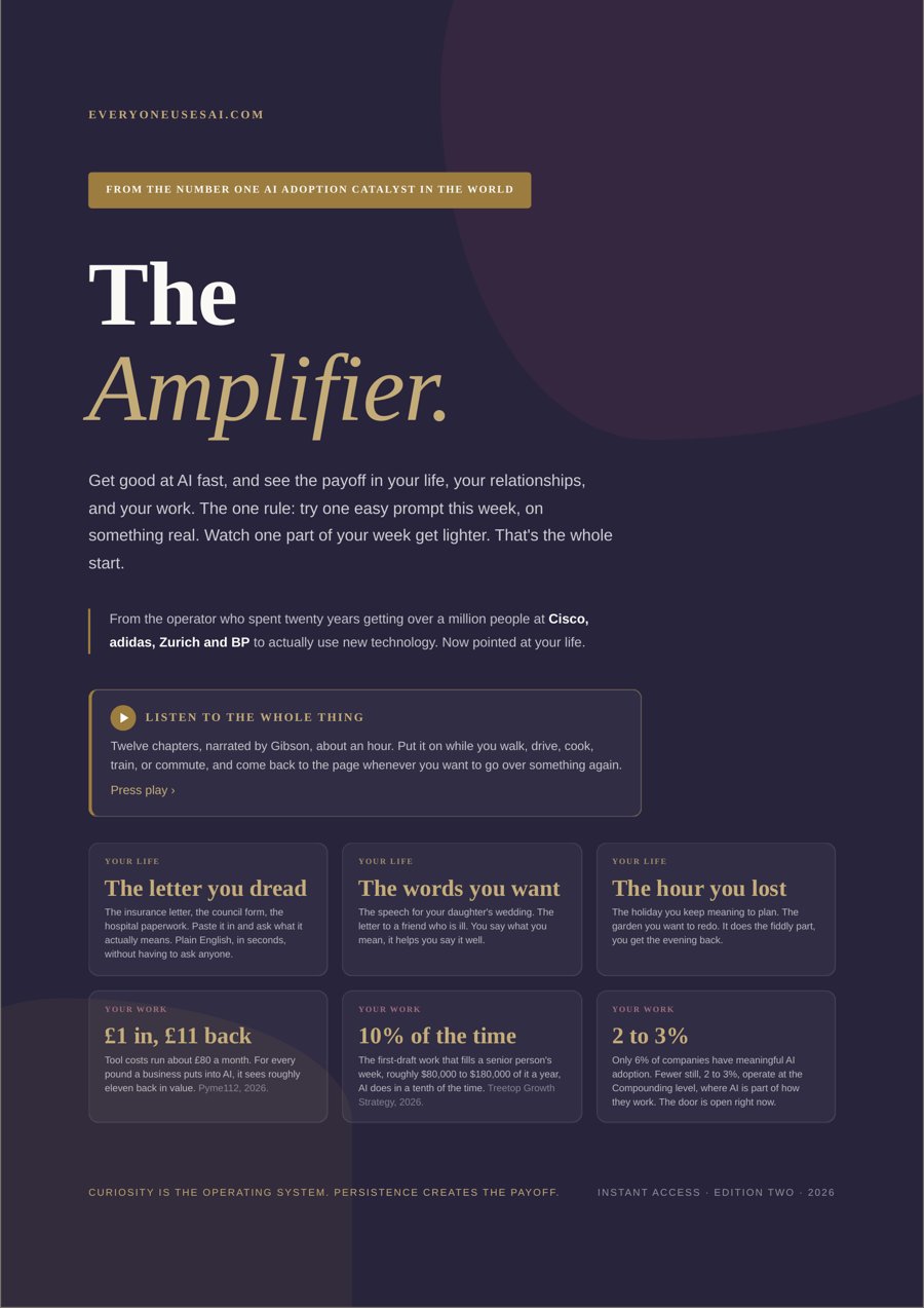 The Amplifier book cover